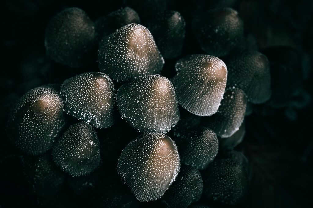 ニキビ潰した後の適切なケア方法は？