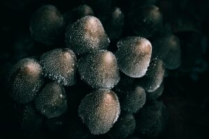 ニキビ潰した後の適切なケア方法は？