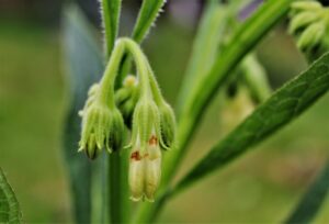 効果的なニキビ消しの方法は何ですか？