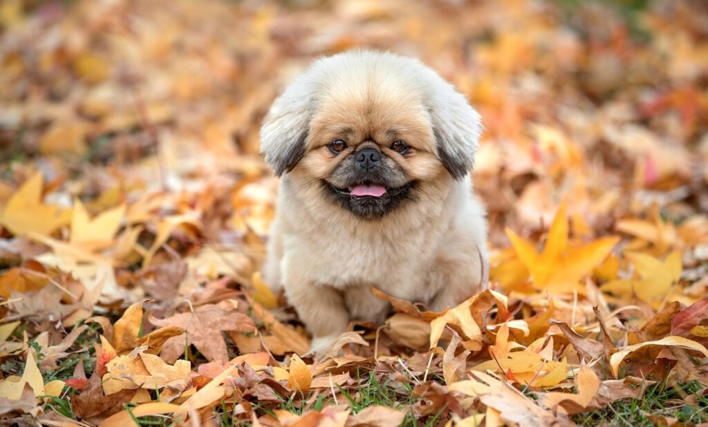 ニキビを目立たなくする方法にはどんなものがある？