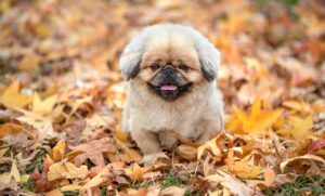 ニキビが潰れた時の効果的な対処法は？