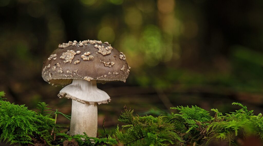 ニキビを潰したら赤くなった場合の対処法は？