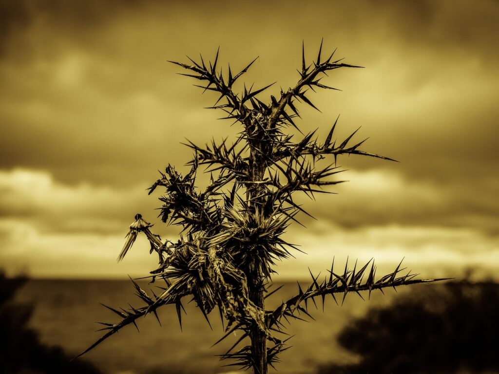 美容皮膚科でのニキビ治療に痛みはある？