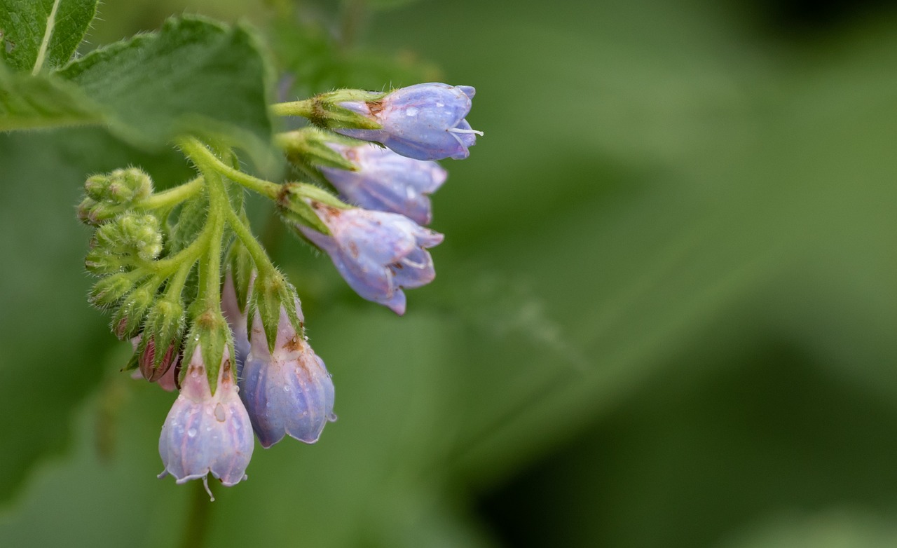 ニキビの内服薬の価格相場はどれくらい？