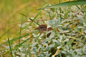 ニキビ治療のビフォーアフターでわかる効果とは？