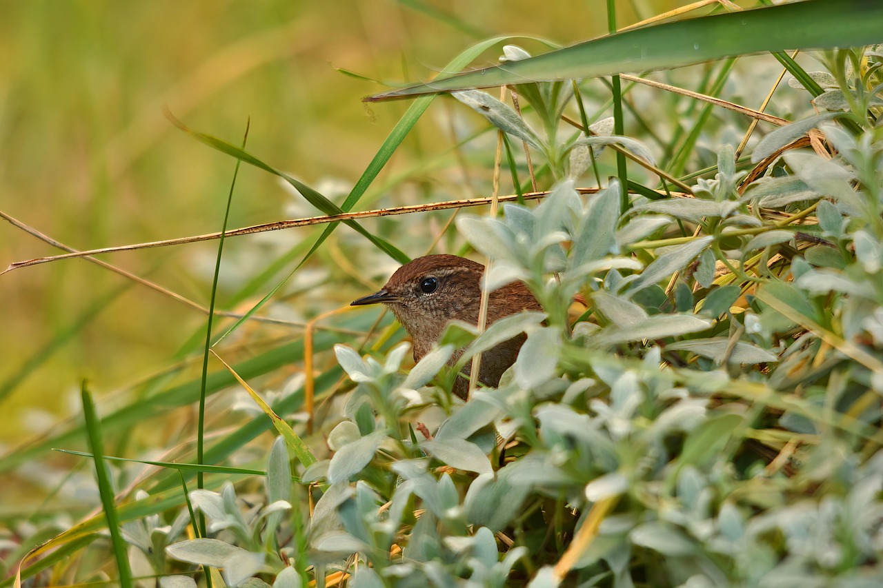 ニキビ治療のビフォーアフターでわかる効果とは？