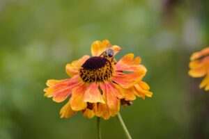 ニキビが何年も治らない場合に相談すべき美容皮膚科は？