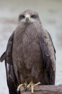 ニキビが夜更かしで悪化する理由とは？