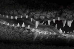 顎のニキビ改善に効果的な美容皮膚科の選び方は？