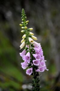 ニキビ治療キャンペーンの注意点は？