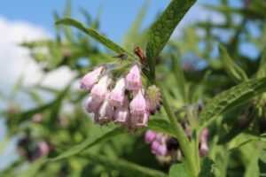 ニキビは冷やすと本当に治る？その効果と方法を徹底解説！